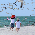 5 Things To Do With Older Kids While Visiting Anna Maria Island