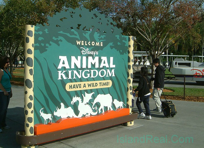 Disney’s Animal Kingdom Orlando Florida