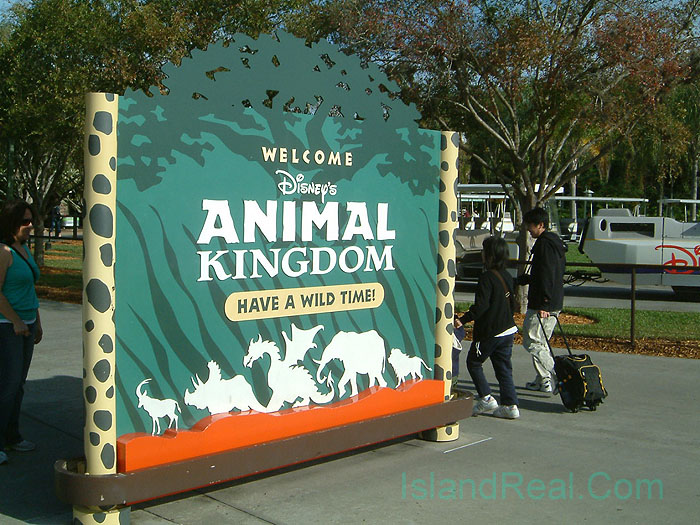 Disney's Animal Kingdom | Walt Disney World - Orlando