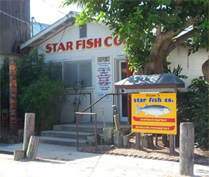 Starfish Company Restaurant, Great Outdoor Dining