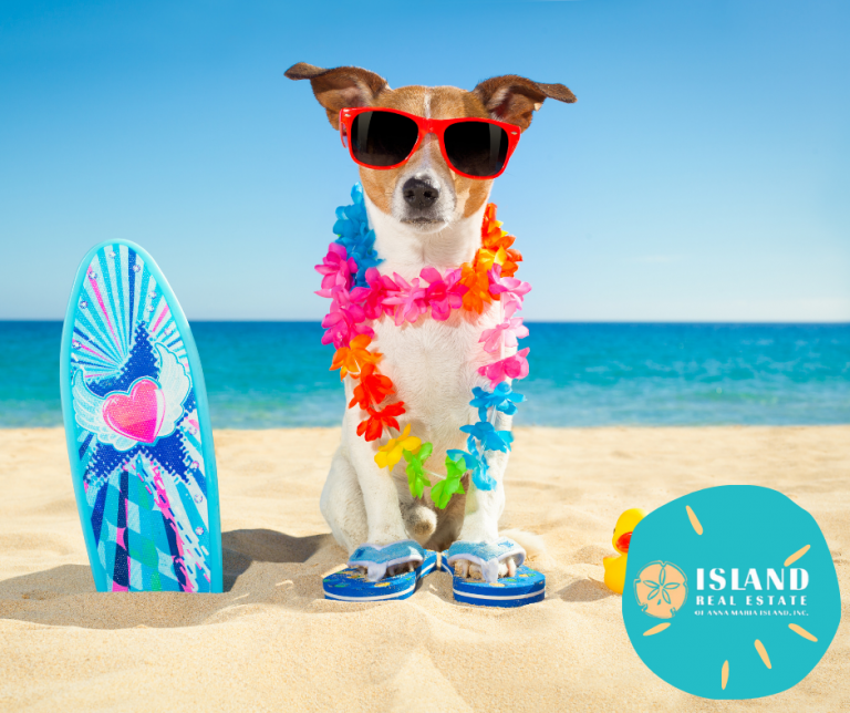 Top 10 Things to Do With Pets on Anna Maria Island Island Real Estate